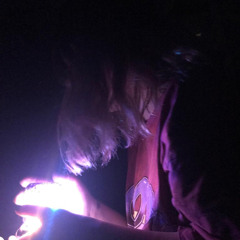 didem madak-pollyanna’ya son mektup