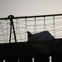 Tevlo ft. Veela - Circles Drewz remix