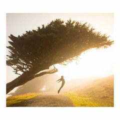Life & Love - Ecstatic Dance LA (Feb 16 2020)