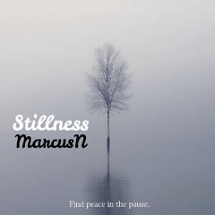 Stillness
