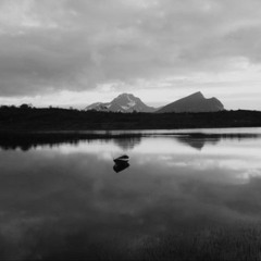 Moskenesøy