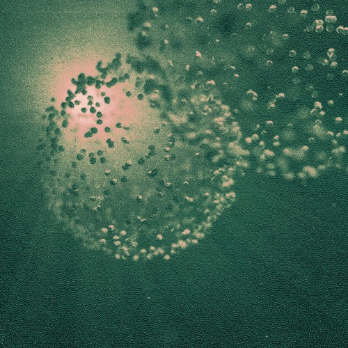PREMIERE: Laura BCR & Forest On Stasys - 5 Elements [SoHaSo]