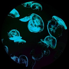 Lost Structures (2015-2018)(Clips)