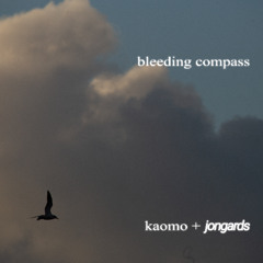 bleeding compass