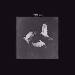 doves