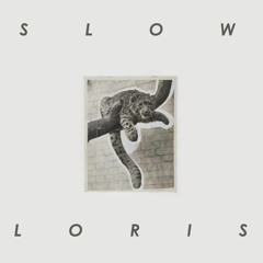 SLOW LORIS TEST DEMO