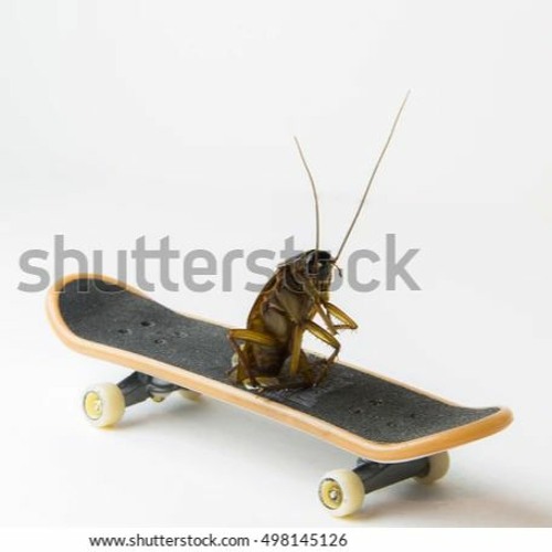 F.00012_munny