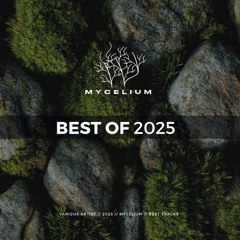 Amado - Entropia (Original Mix) [Mycelium]