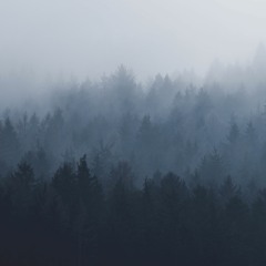 Duality
