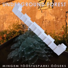 mingem tööstusparki ööseks