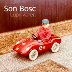 Lupinvägen - 2025 remaster