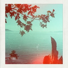 eR021 The Bird's Companion - The Unmoving Shore