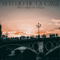 REFLEJO DE LA CAVA