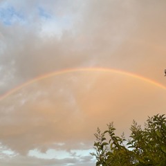 crazy violins 🎻  {prodbykingy.j} kingyremix