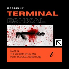 terminal...eshkal