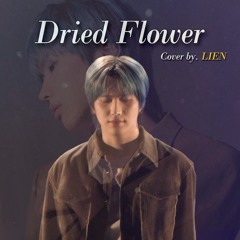 LIEN - Dried Flower (Original by Yuuri)