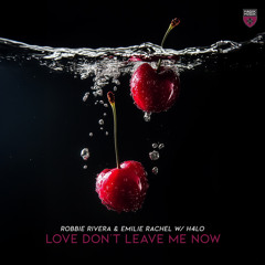 Love Don’t Leave Me Now (Extended Mix)