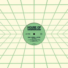 PREMIERE: DMX Krew x DVDE - Gangster Acid