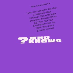 Acid Bounty - Kiss You