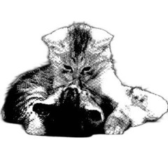 Внешность (≧◡≦) ♡