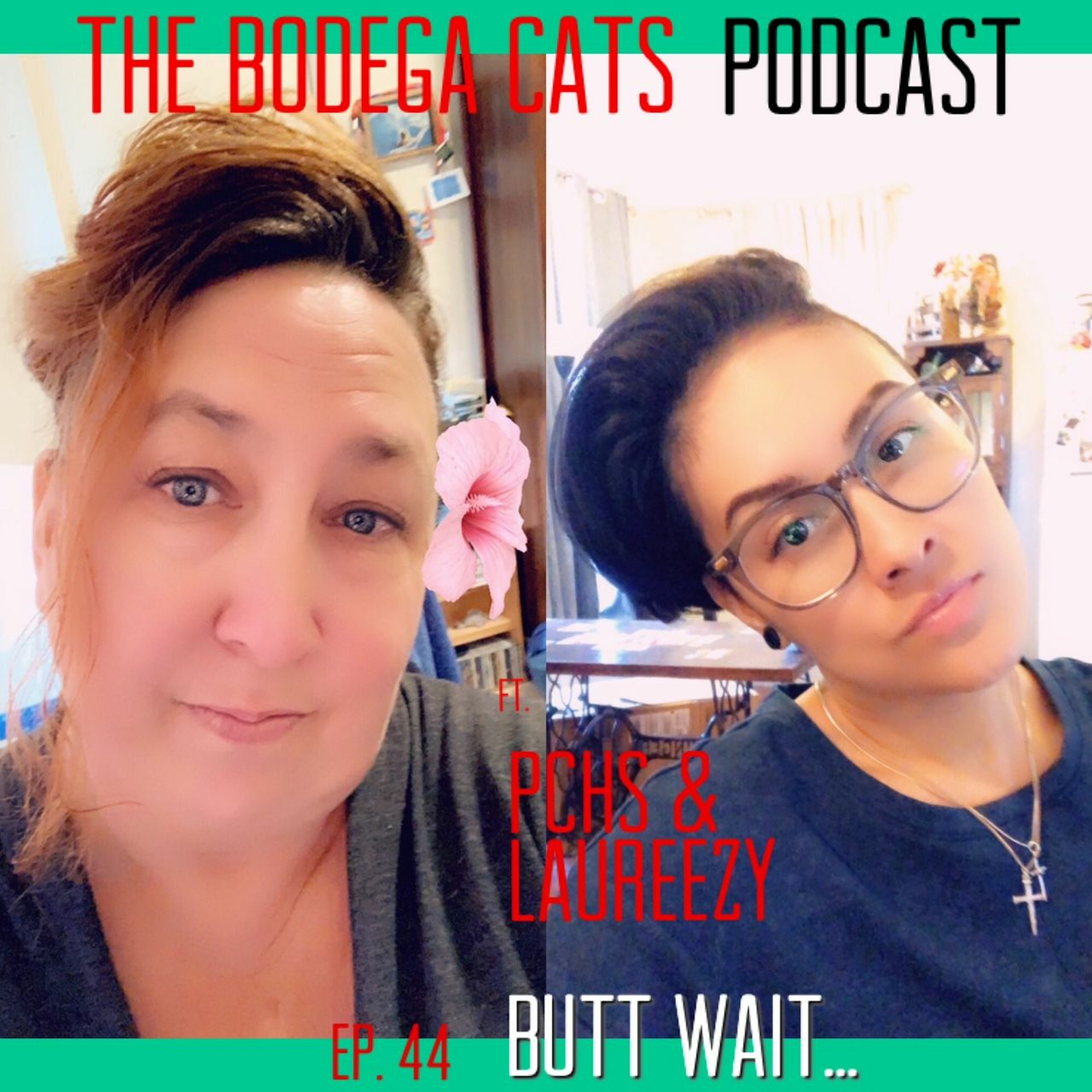 The Bodega Cats Podcast