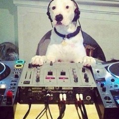 Kvasir 3 Decks TeknoCore Vinyl Mix