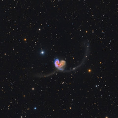 I wish you love. cover