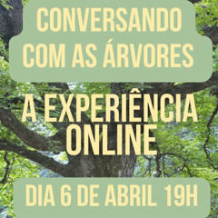El Lugar - Conversando com as Árvores - Experiência