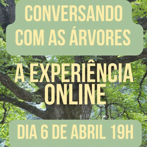 El Lugar - Conversando com as Árvores - Experiência