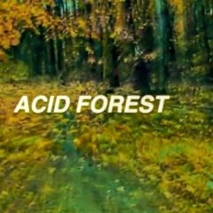 # ACID RAVE In LAS -mini set