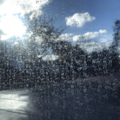 My New Freedom (Elliott Smith cover)