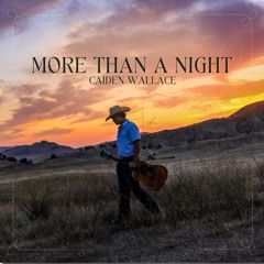 More Than A Night Caiden Wallace