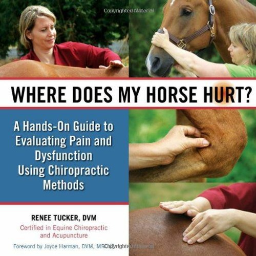 View [PDF EBOOK EPUB KINDLE] Where Does My Horse Hurt?: A Hands-On Guide to Evaluating Pain and Dysf