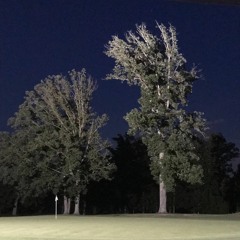country club putting green