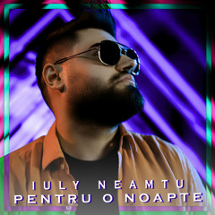 IULY NEAMTU - Pentru o noapte