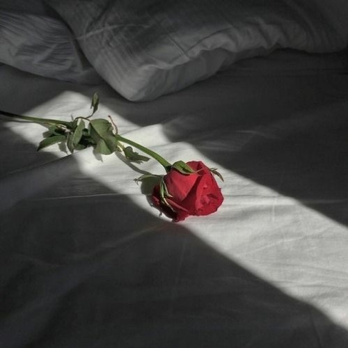 ＷＩＴＨ   ＹＯＵ