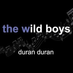 Duran Duran - The Wild Boys (Mike & Stef.R Remix)