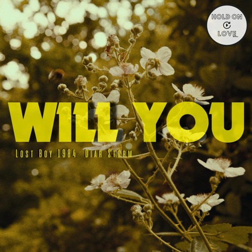 Lost Boy 1984 & Diar Storm - Will You (Instrumental Version)