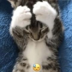 abissale di tananai cantata da me ciaooo