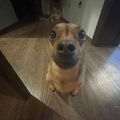 AZART RECORDS - КУРИМ ВМЕСТЕ