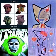 Liked songs