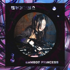 FLUIDICA RAVE : Vol. 1 - BAMBOO PRINCESS - DJ Set (live in Seoul, South Korea)