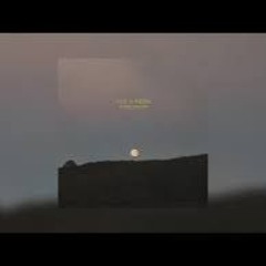 Avi Snow - All I Need