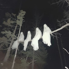 ANGEL'S ON TRAP