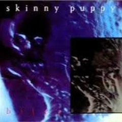 Assimilate - Skinny Puppy