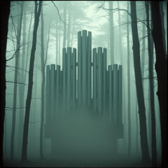 Fogbound Harmony
