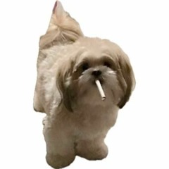 Guzowianki - Ech Poleczko ALE TO VIXA (WAMAL REMIX)