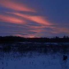 Frē§h Flµ££¥ Fµ†µrė