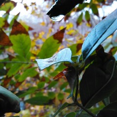 Don't Overthink It V2