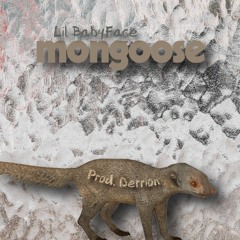 Mongoose (Prod. Derrion)